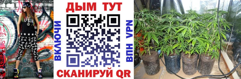 цена наркотик  Тбилисская  Бошки Шишки White Widow 